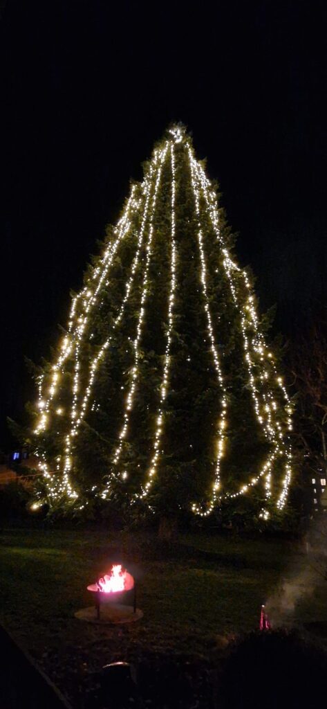 3dcfcc4b 4411 447f ac7c 1013d2967bc4