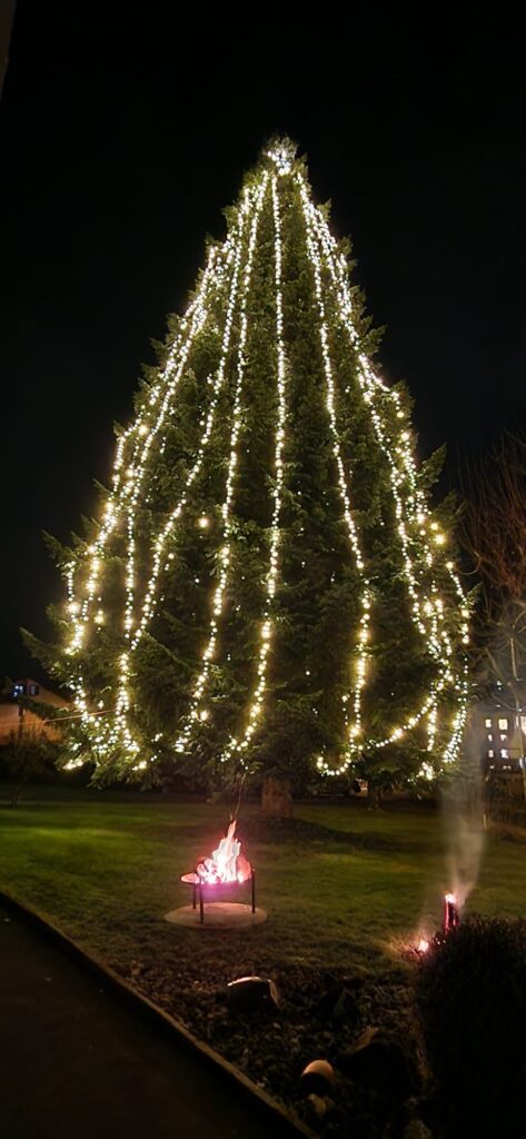 77a837e9 ec62 42cc 914e 0cc6b647dd8b