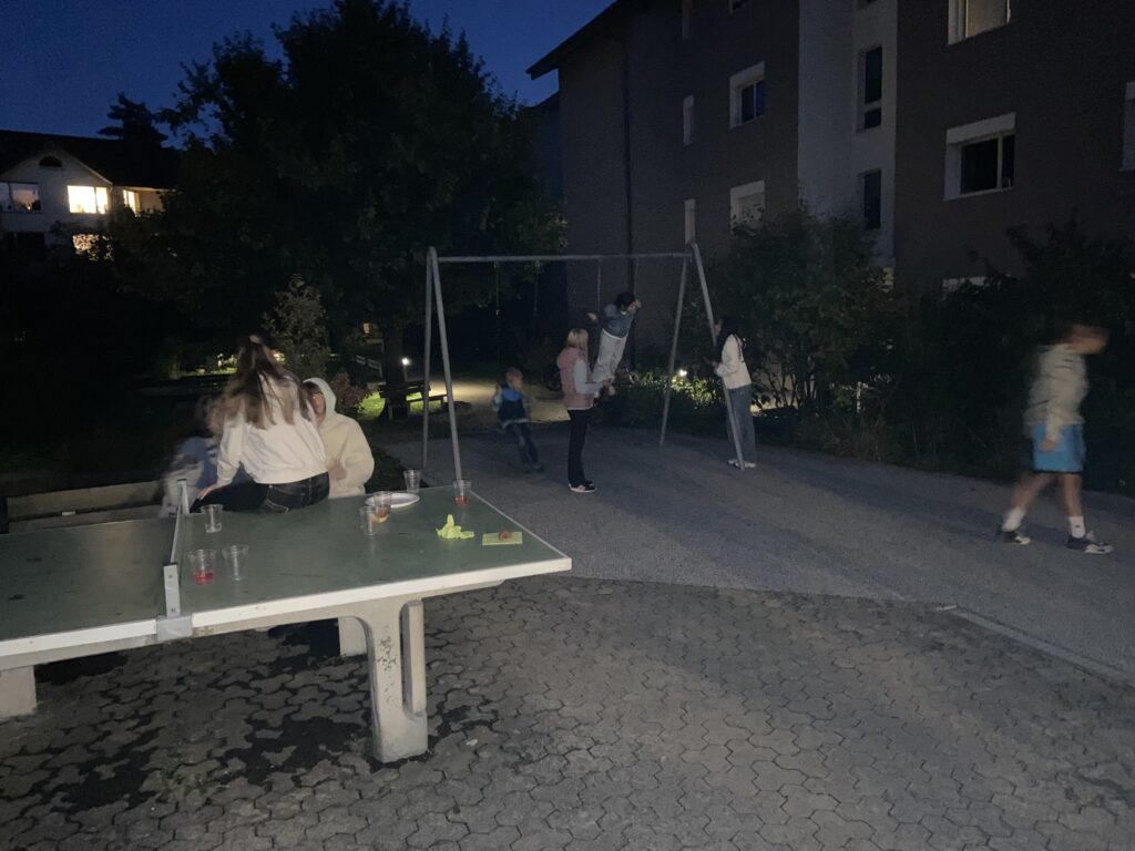 IMG 3279